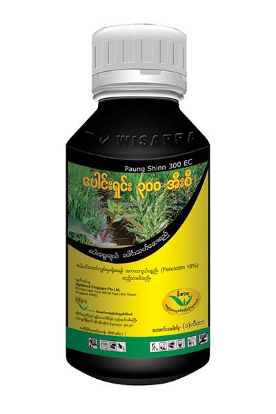 PAUNG SHINN 300 EC