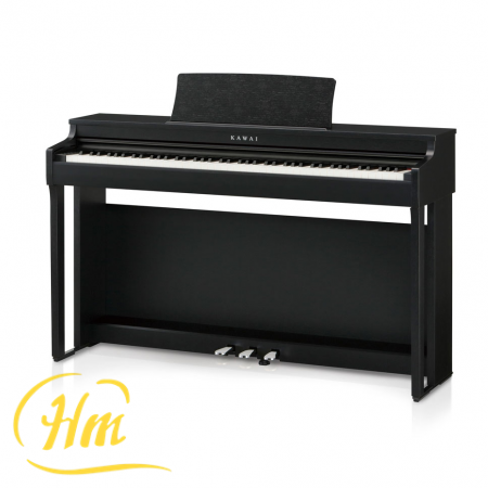 KAWAI CN-29