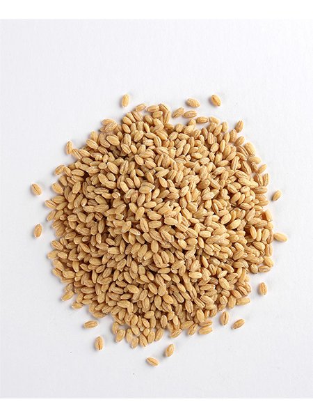 Barley Seeds