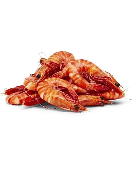 Royal red shrimp
