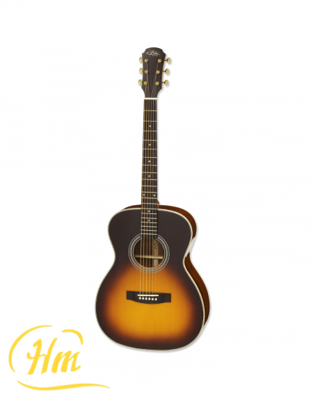 ARIA-501