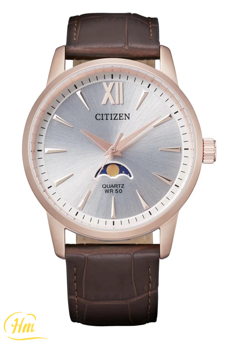 Citizen Quartz Moon Phase AK5003-05A