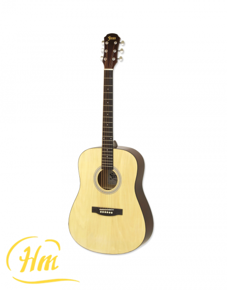 ARIA FST-300