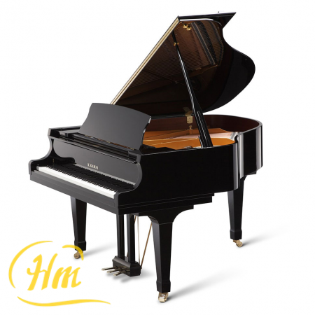 KAWAI GX-1