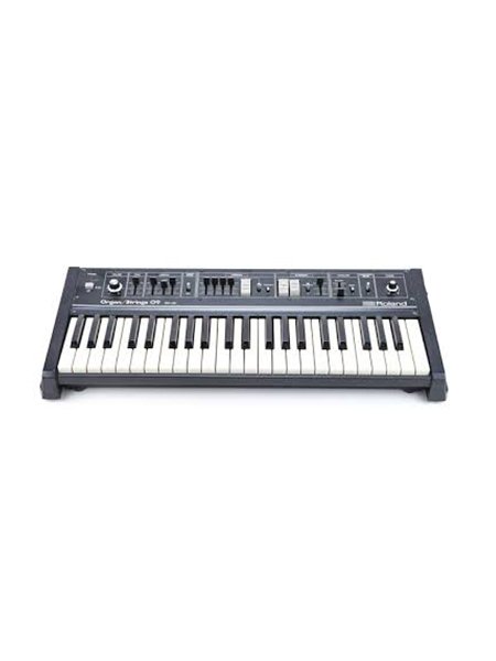 ROLAND RS09