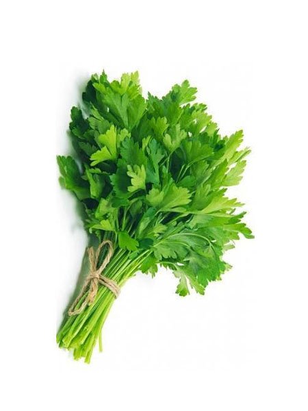 Fresh Parsley