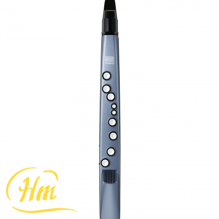 ROLAND Aerophone mini
