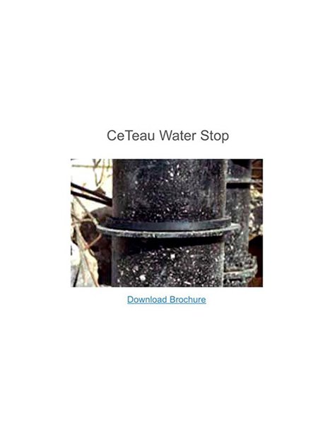 CeTeau Waterstop RX
