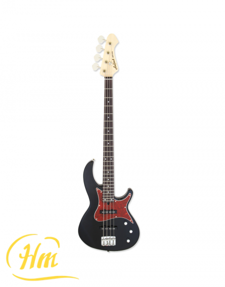 ARIA RSB-1000