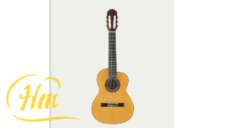 ARIA AC-50A