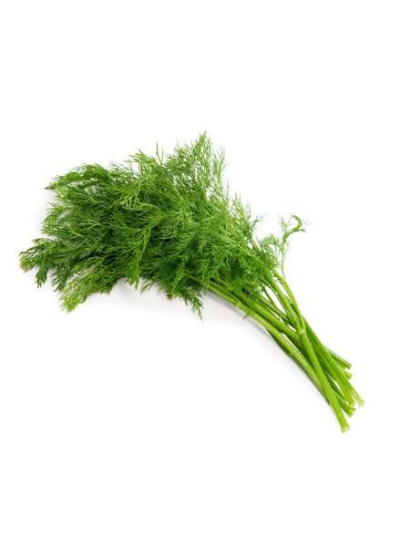 Dill