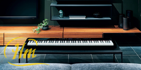 CASIO PX-S3000