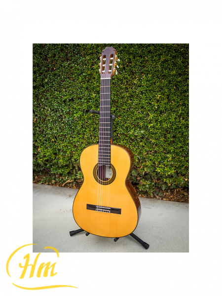 ARIA AC-80