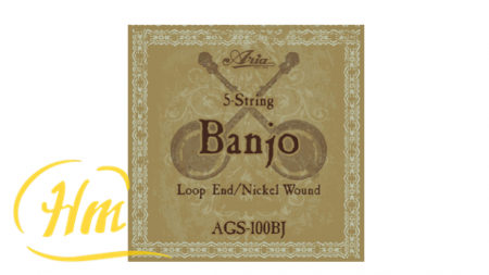 ARIA AGS-100BJ