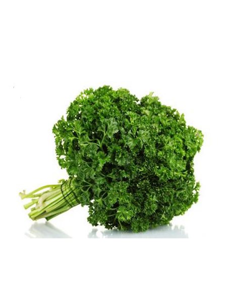 English Parsley