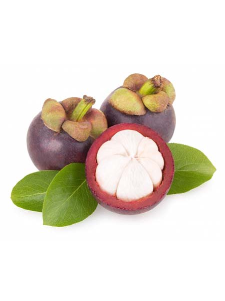 Mangosteen