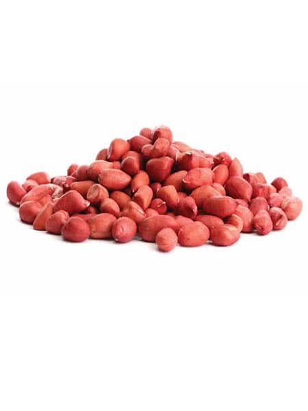Groundnut (Red)