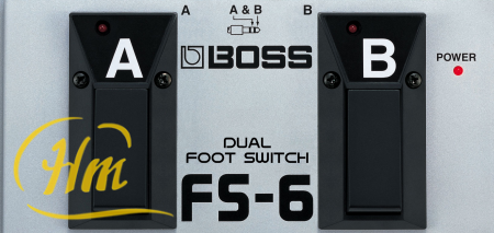 BOSS FS-6