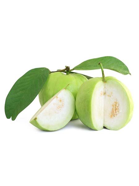 Guava