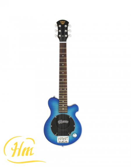 ARIA PGG-200FM