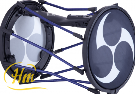 ROLAND TAIKO-1