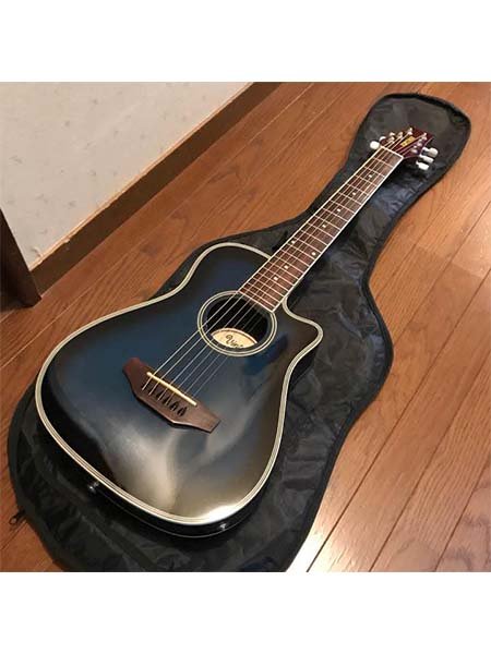VINTAGE NTW-250