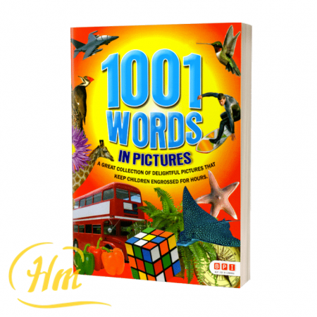 1001 Words In Pictures