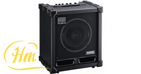 ROLAND CUBE-60XL BASS