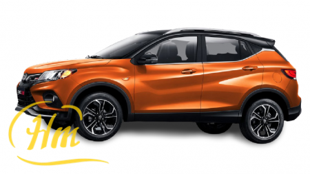 Soueast DX3X Orange Roof Black