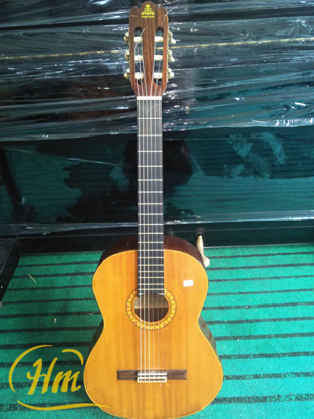 Takenaru Guitar