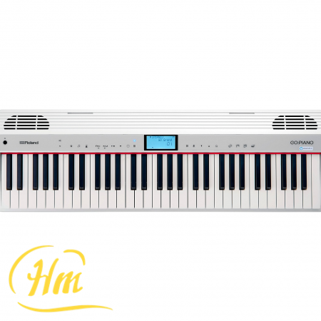 ROLAND GOPIANO with Alexa Built-in