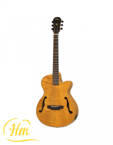 ARIA FET-F2