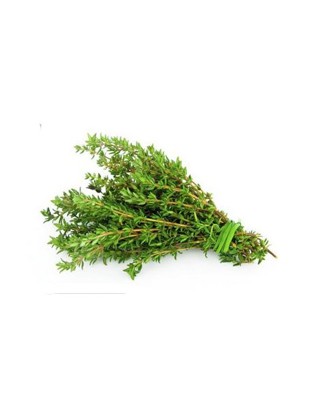 Thyme