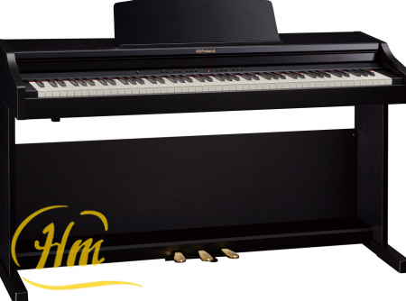 ROLAND RP501R