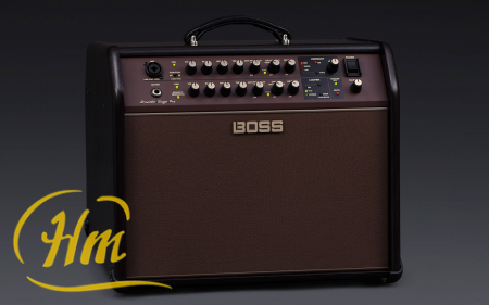 BOSS ACOUSTIC SINGER PRO