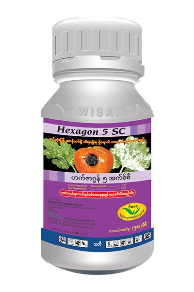 HEXAGON 5 SC
