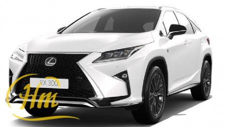 LEXUS RX 300