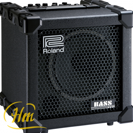 ROLAND CUBE-20XL BASS
