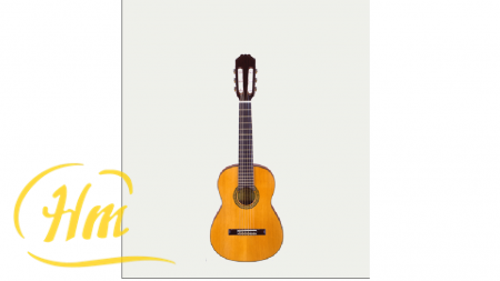 ARIA PS-48