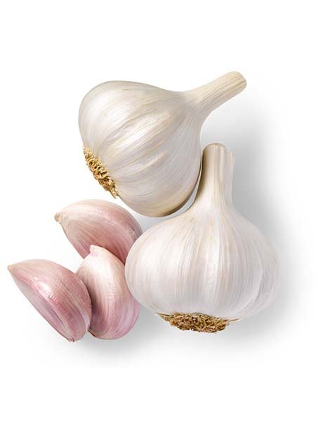 Garlic