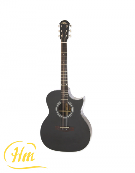 ARIA-205CE