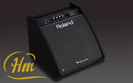 ROLAND PM-200
