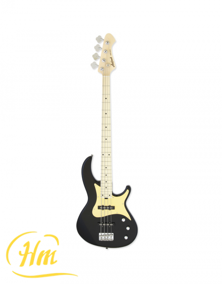 ARIA RSB-618/4