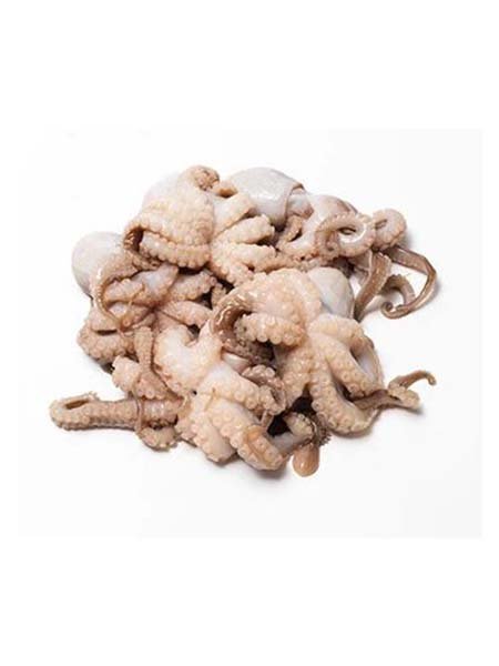 Small WHOLE CLEANED OCTOPUS