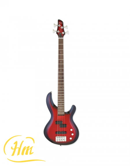 ARIA IGB-STD