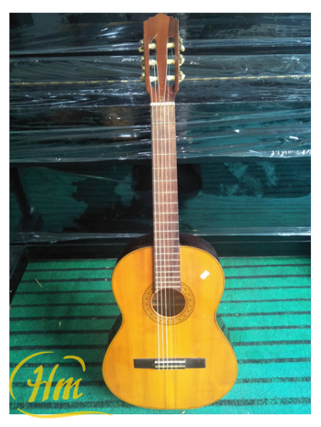 Zen on Gut Guiter