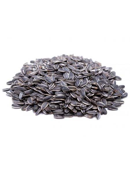 sunflower seeds