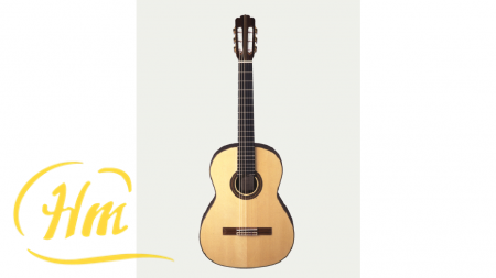 ARIA JR-200
