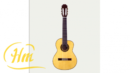 ARIA AC-85A