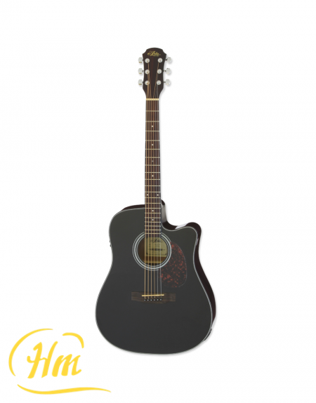 ARIA ADW-01CE